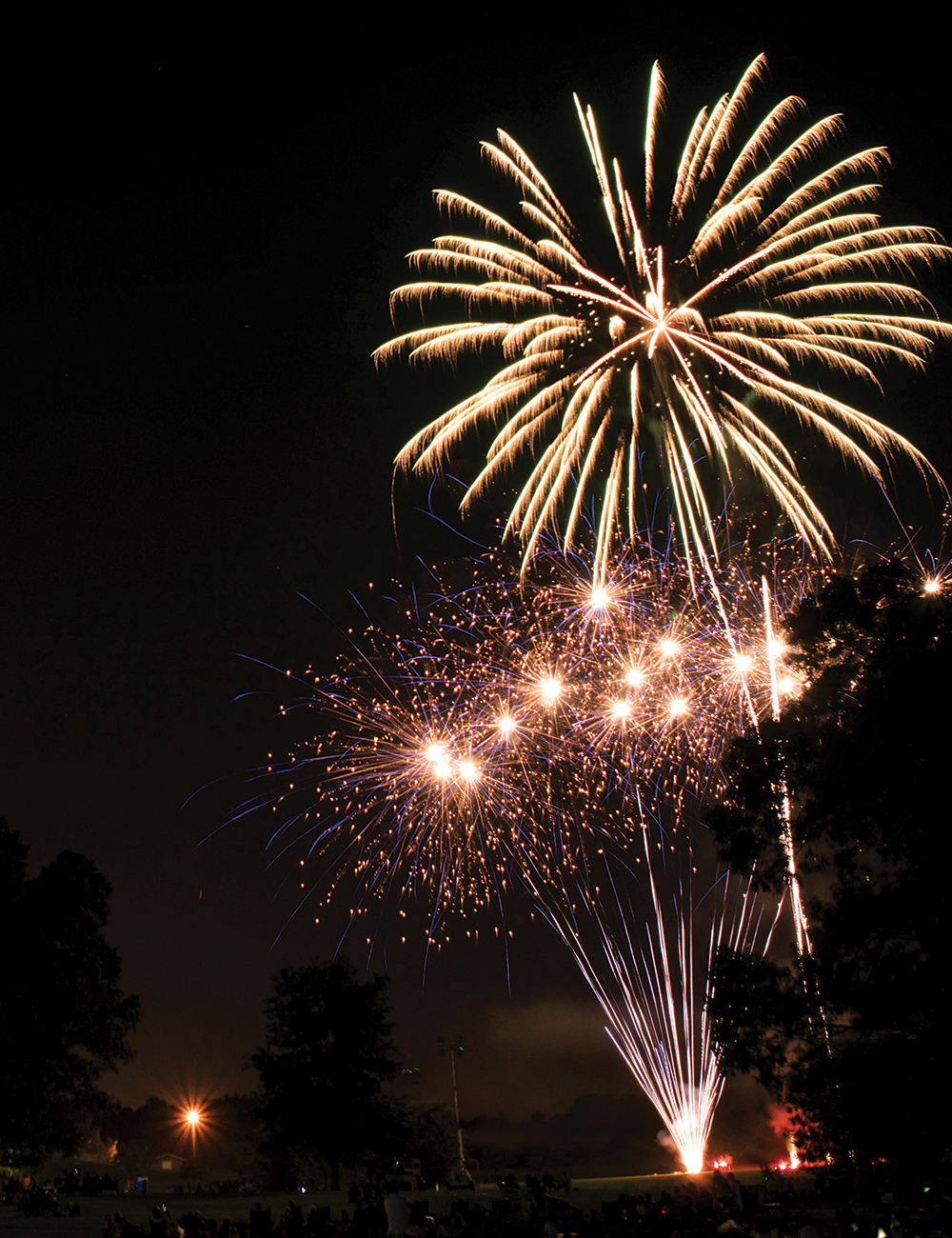 Fireworks & Fun University of North Magazine