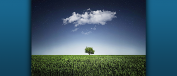 Photo Illustration - A cloud hovers over a lone tree in a field of grass