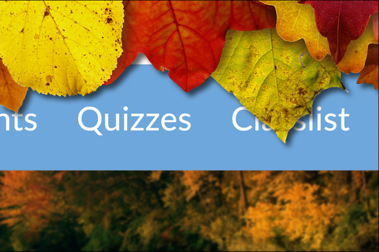 Image of fall leaves hanging over screenshot of D2L Quizzes link