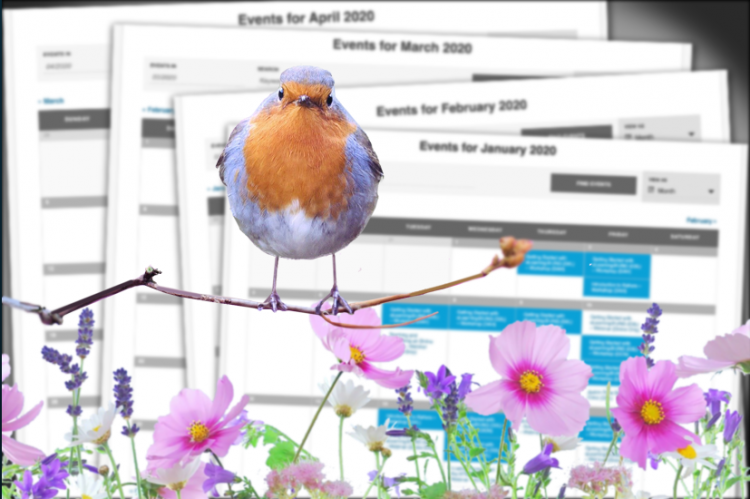 Graphic, bird on branch, flowers, in front of DETI Events Calendar