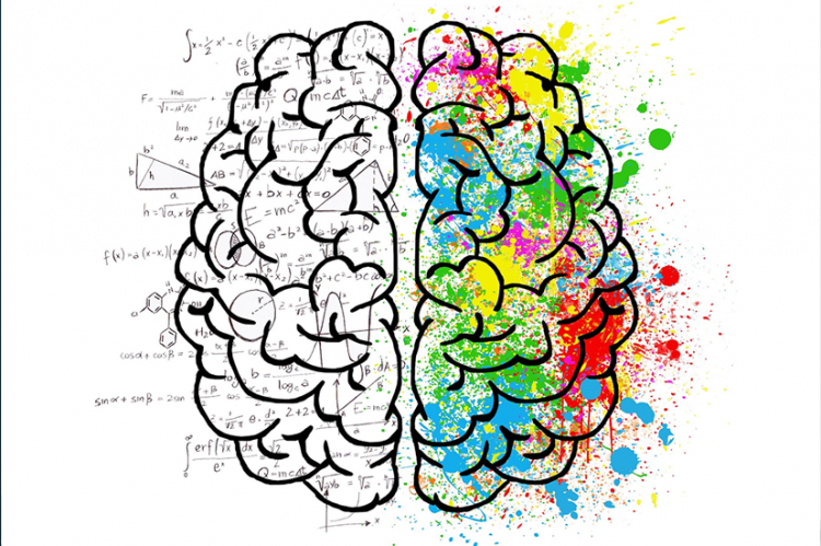 Graphic of brain, math problems on left side, splash of color on right