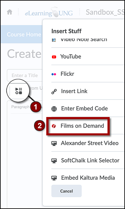 Insert stuff is in the middle of Brightspace Editor, top row. Films on Demand link is below the Enter Embed Code link.