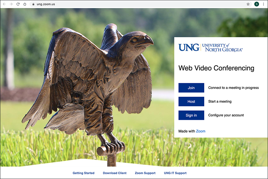 Homepage of UNG's Zoom, with image of Nighthawk statue and links to download Zoom, join a meeting, start a meeting, sign in or get assistance.