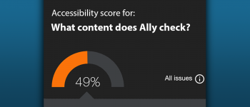 screenshot of Ally accessibility score of 49 percent