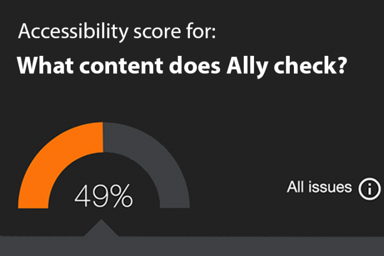 screenshot of Ally accessibility score of 49 percent