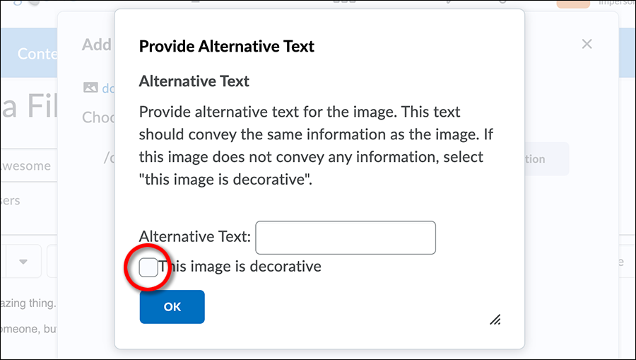 The HTML Editor Alternative Text box. "This mage is decorative" checkbox is below it