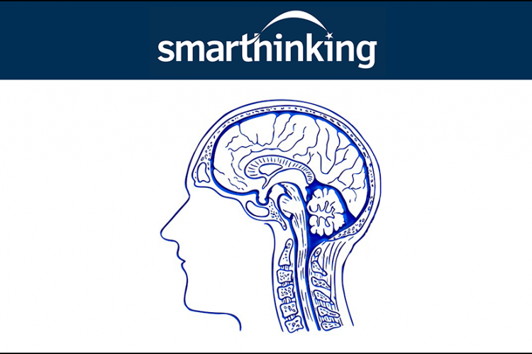 Smarthinking logo and diagram of a human brain