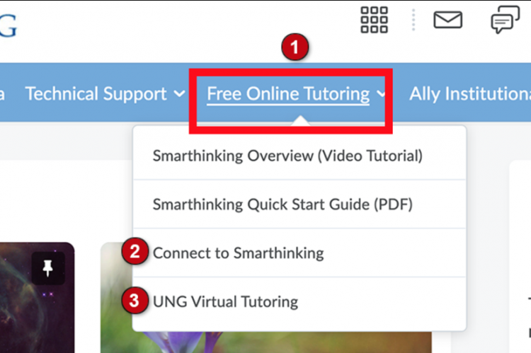 D2L's online tutoring links are on the navbar under Free Online Tutoring