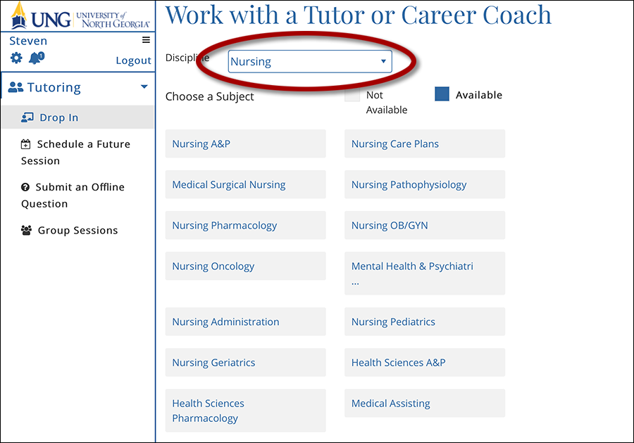 Student Smarthinking homepage, student selects nursing and sub-categories