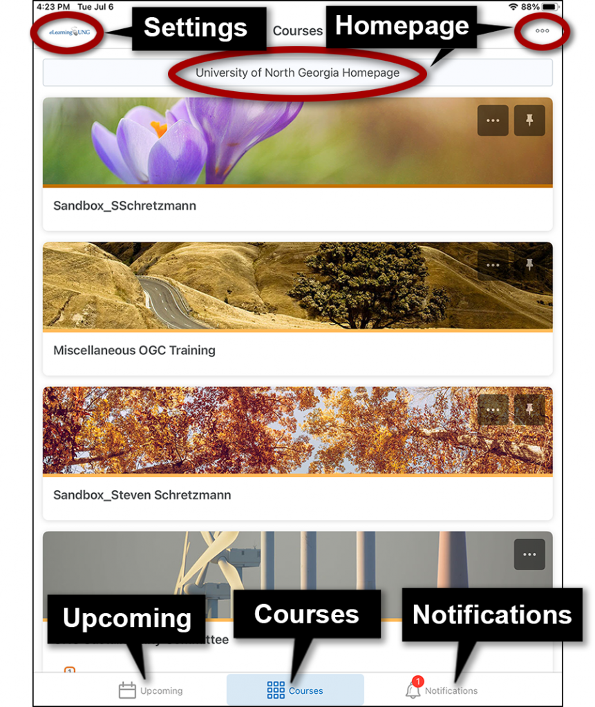 Pulse app Courses page with Settings (UNG logo) and Homepage (ellipsis) links on top and Upcoming, Content, and Notifications links on bottom of page.