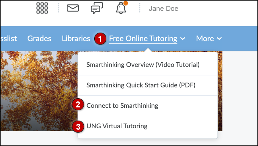 D2L course homepage with Free Online Tutoring link on nav bar and drop-down menu