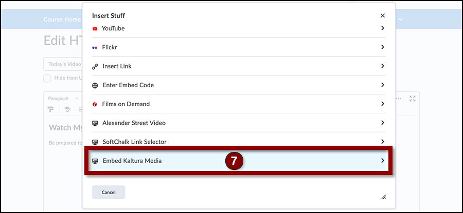 The Insert Stuff menu includes links for adding YouTube videos, Films On Demand, and Embed Kaltura Media.