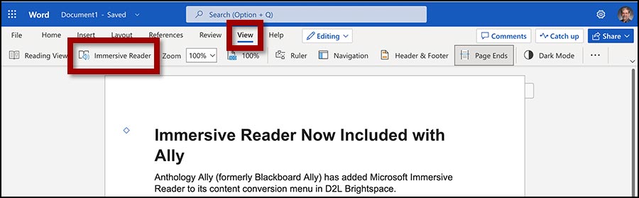 MS Word doc with ribbon open showing View link and Immersive Reader link.