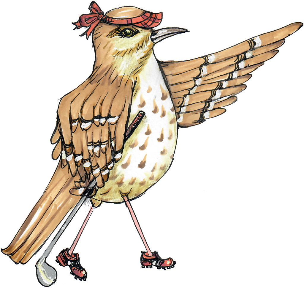An illustrated brown thrasher holds a golf club. She wears a red hat and golfing shoes.